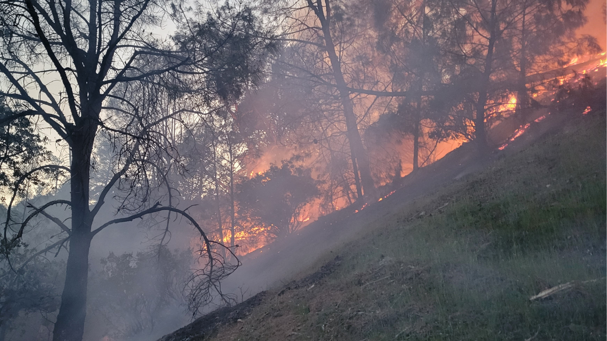 Weekend Wildfire West Of Lake Pillsbury Burns An Acre-and-a-half— Cause 