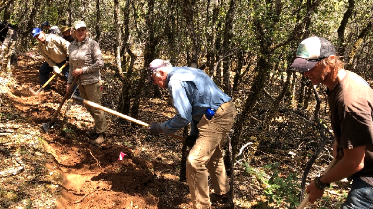 Hikers Invited to Low Gap Park’s New ‘Upper City View Trial’ Reveal ...