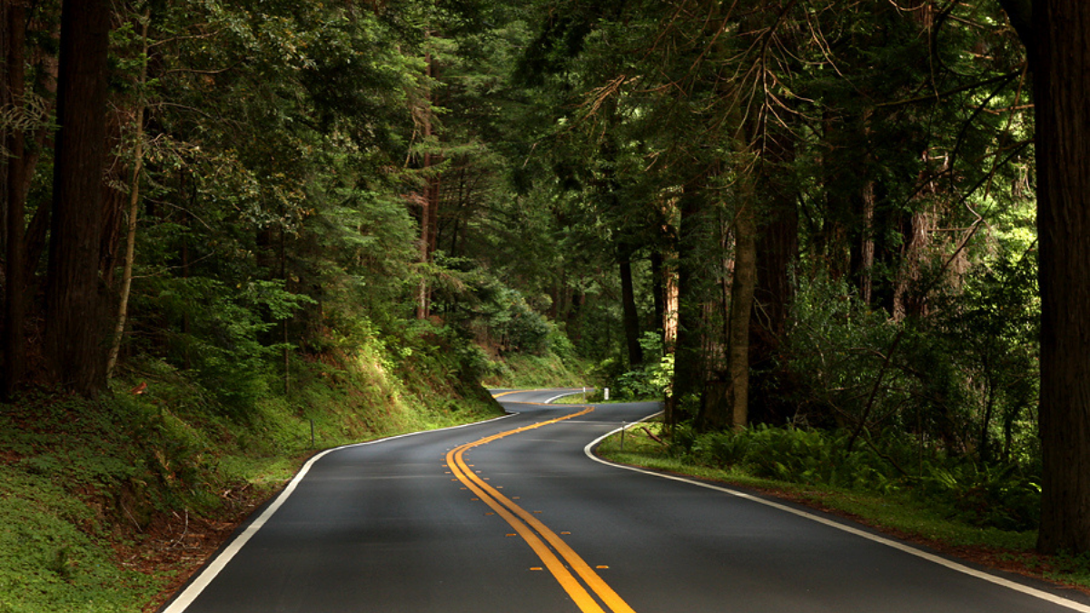 Why Highway 128 Encapsulates the True Northern California Experience ...