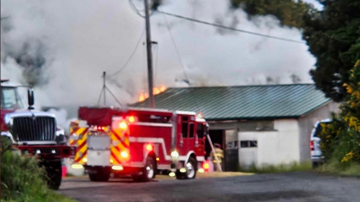 Fort Bragg Fire Displaces Tenants in Early Morning Blaze - MendoFever ...