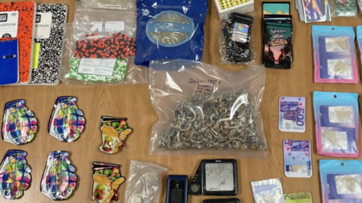 Hopland incident ends in mushroom hunt: 0.7 kg of psychedelics confiscated